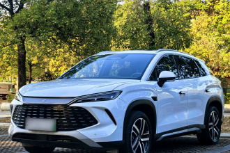 比亚迪 宋L DM-i 2025款 智驾版 112km 领先型