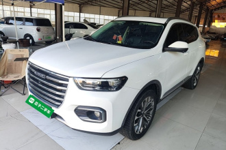 哈弗H6 2020款 1.5GDIT 自动铂金冠军版