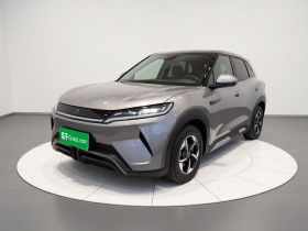 比亚迪 元UP 2024款 401KM 领先型