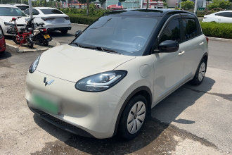 五菱汽车 五菱缤果 2023款 333km 快享款
