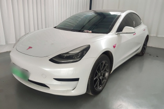 特斯拉 Model 3 2020款 改款 标准续航后驱升级版