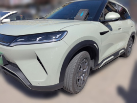 比亚迪 元UP 2024款  401KM 活力版