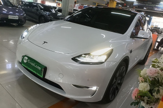 特斯拉 Model Y 2022款 Performance高性能全轮驱动版