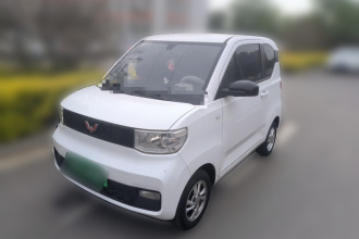 五菱汽车 宏光MINIEV 2020款 轻松款 三元锂