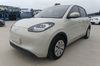 五菱汽车 五菱缤果 2023款 203km 轻享款