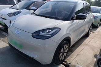 五菱汽车 五菱缤果 2023款 203km 舒享款