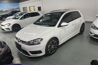 大众 高尔夫 2016款 1.4TSI 自动R-Line