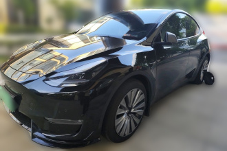 特斯拉 Model Y 2021款 标准续航后驱版