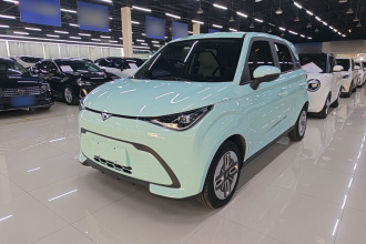 凯翼拾月 2023款 301km 追风版