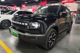 捷途山海T1 2024款 150km 向海