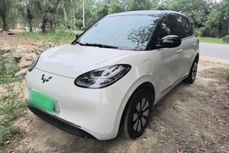 五菱汽车 五菱缤果 2025款 333km 悦享款