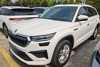 斯柯达 柯迪亚克 2024款 TSI330 5座两驱实力版
