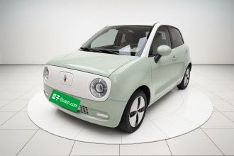欧拉黑猫 2022款 改款 301km 萌宠版 磷酸铁锂
