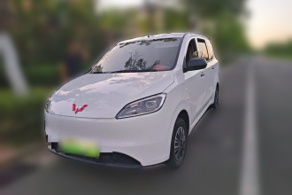 五菱汽车 五菱宏光新能源 2024款 纯电版 300KM 标准型