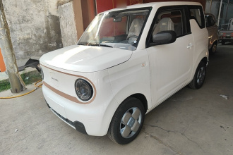 吉利银河 2024款 熊猫mini 200km 耐力熊