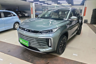 星途凌云 2024款 300T 两驱星耀版