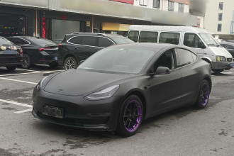 特斯拉 Model 3(进口) 2019款 长续航后驱版
