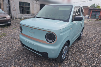 吉利银河 2023款 熊猫mini 200km 耐力熊
