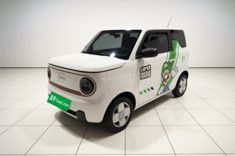 吉利银河 2024款 熊猫mini 200km 耐力熊