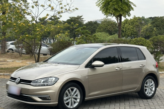 大众 高尔夫 2019款 280TSI DSG舒适型 国V