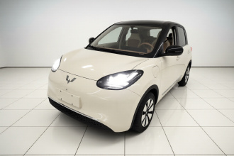 五菱汽车 五菱缤果 2025款 333km 灵犀尊享款