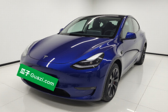 特斯拉 Model Y 2021款 长续航全轮驱动版