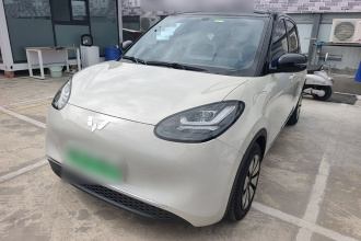 五菱汽车 五菱缤果 2024款 333km 灵犀互联款