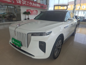 红旗E-HS9 2021款 510km 旗畅版 六座