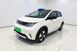 比亚迪 海豚 2023款 420km 时尚版