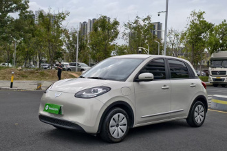 五菱汽车 五菱缤果 2024款 203km 轻享款