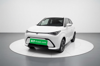 凯翼拾月 2023款 301km 追风版