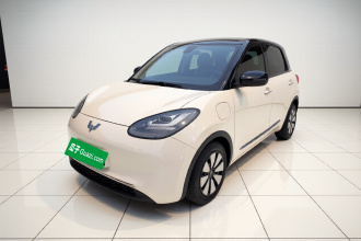 五菱汽车 五菱缤果 2023款 410km 灵犀尊享款