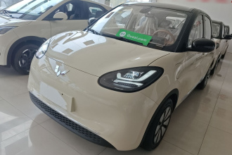 五菱汽车 五菱缤果 2025款 333km 悦享款