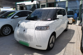 欧拉白猫 2020款 360km 豪华型