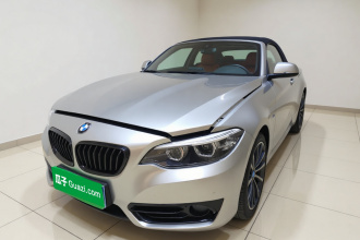 宝马2系(进口) 2019款 225i 敞篷轿跑车 运动设计套装