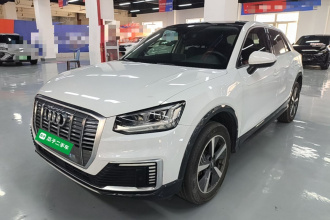 奥迪Q2L e-tron 2019款 Q2L e-tron 纯电智享型