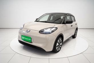 五菱汽车 五菱缤果 2024款 333km 悦享款