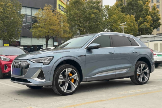奥迪e-tron 2021款 50 quattro 尊享型
