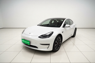 特斯拉 Model 3 2020款 改款 标准续航后驱升级版