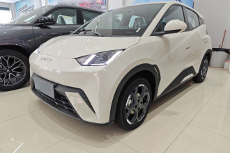 比亚迪 海鸥 2025款 305km 自由版