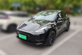 特斯拉 Model Y 2021款 标准续航后驱版