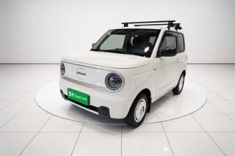吉利银河 2023款 熊猫mini 200km 耐力熊