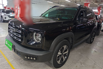 哈弗大狗 2022款 1.5T DCT两驱拉布拉多版