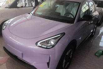 吉利银河 星愿 2026款 310km 梦想版