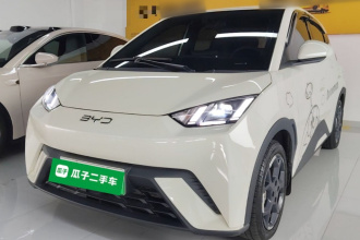 比亚迪 海鸥 2024款 荣耀版 305km 自由版