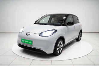 五菱汽车 五菱缤果 2023款 333km 灵犀互联+款