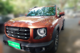 哈弗大狗 2021款 1.5T DCT两驱边牧版