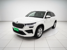 斯柯达 柯迪亚克 2024款 TSI330 5座两驱实力版