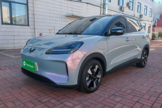 五菱汽车 五菱缤果PLUS 2024款 510km 五座版