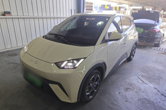 比亚迪 海鸥 2024款 荣耀版 305km 自由版